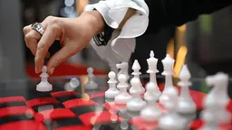 ФИДЕ приостановила членство Федерации шахмат России из-за войны в Украине